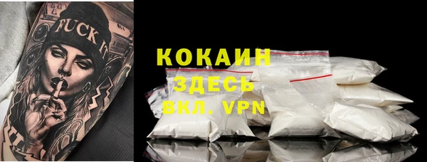 крисы Аркадак