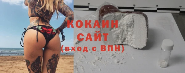 крисы Аркадак