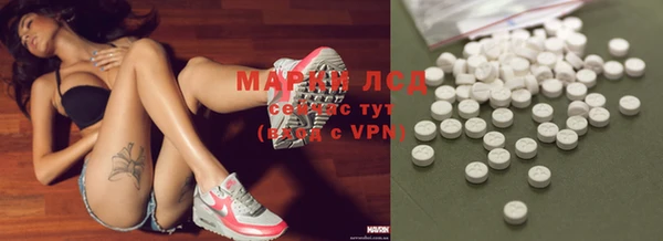 крисы Аркадак
