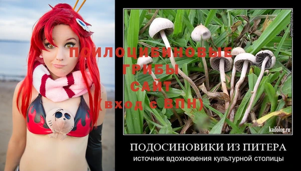крисы Аркадак