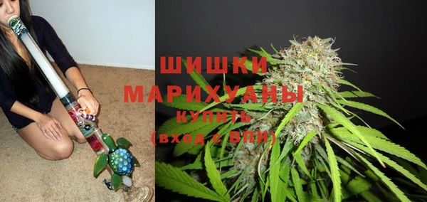 тгк Арсеньев