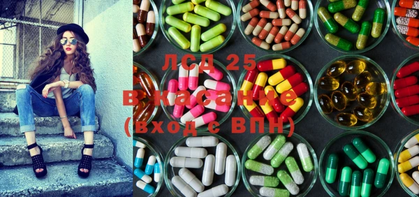крисы Аркадак